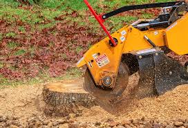 Best Aeration Services  in Mccoll, SC